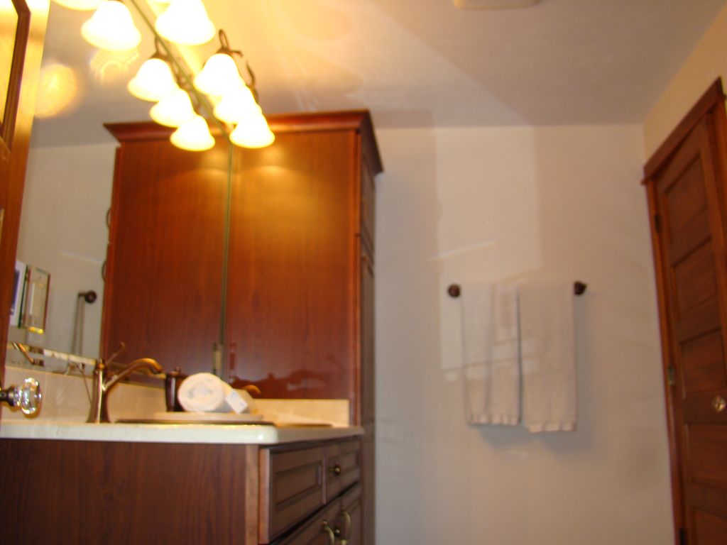 Bathroom View - Florida Vacation Rentals - Steinhatchee Real Estate - Tammy Bryan